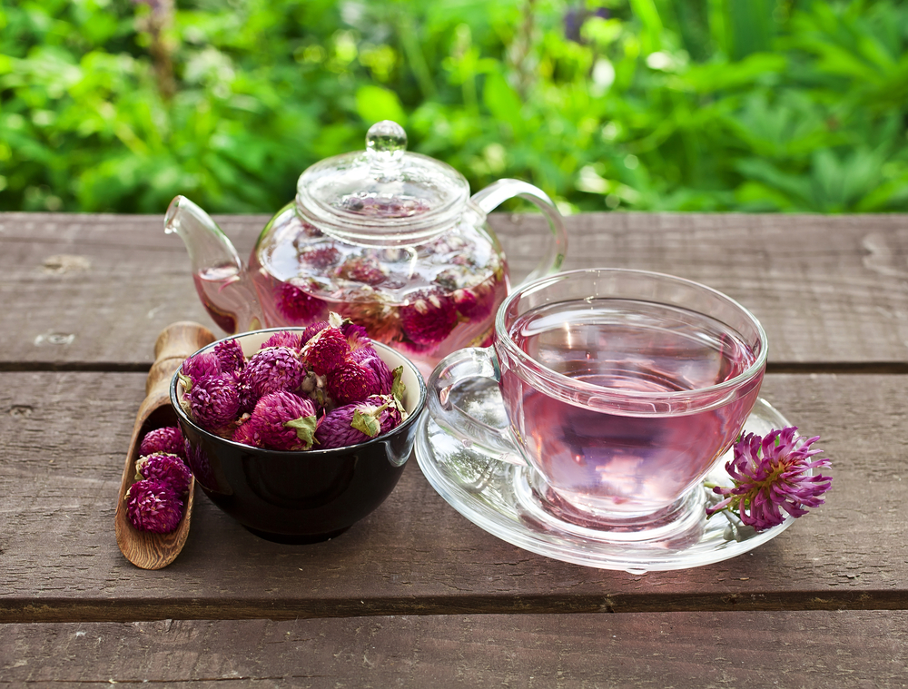 naturocare-blog-what-is-red-clover-tea